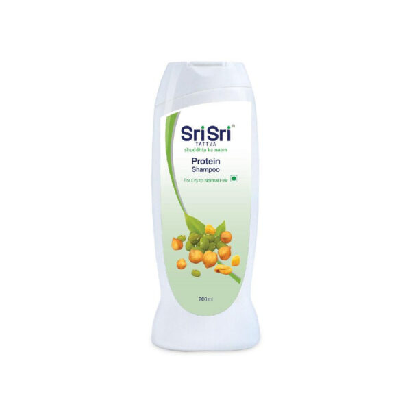 Protein Shampoo dummy staging product